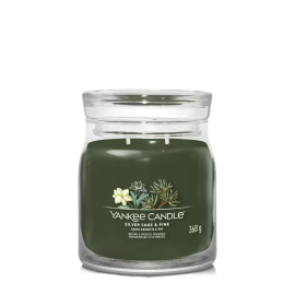 Žvakė SILVER SAGE/PINE  (vidutinė)