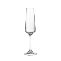 Taurės šampanui „CORVUS“ (6 vnt., 160 ml)