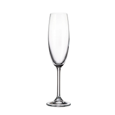 Taurės šampanui „COLIBRI“ (6 vnt., 220 ml)